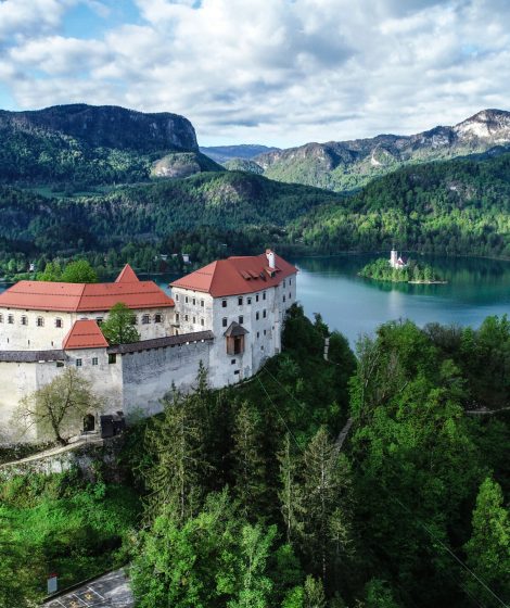 BLED