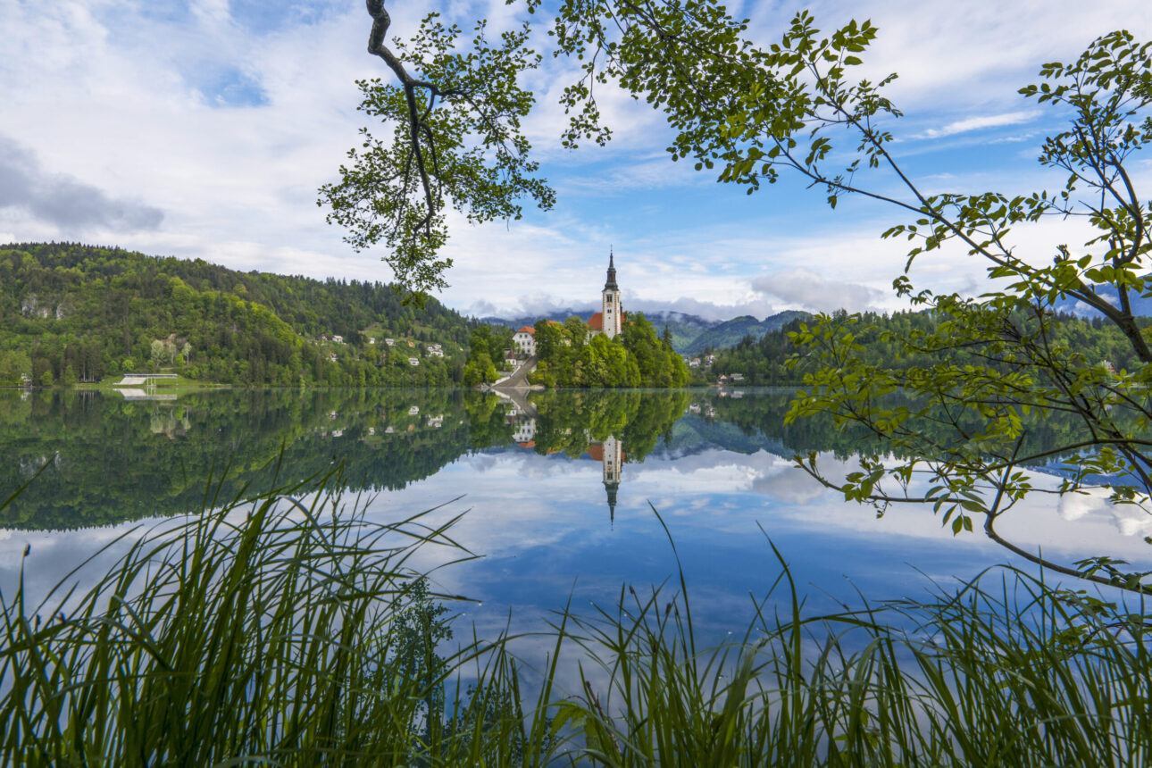 bled otok maj 21 trava